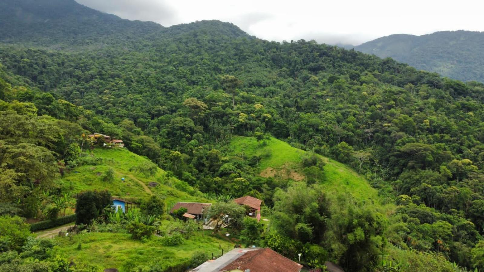 Casa Da Floresta Pico Da Aguia Парати Екстериор снимка