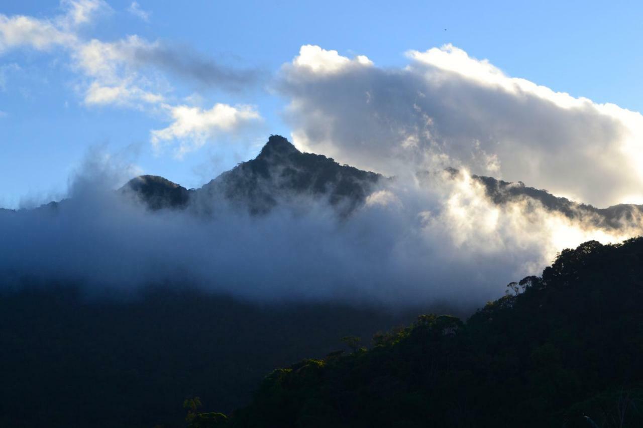 Casa Da Floresta Pico Da Aguia Парати Екстериор снимка